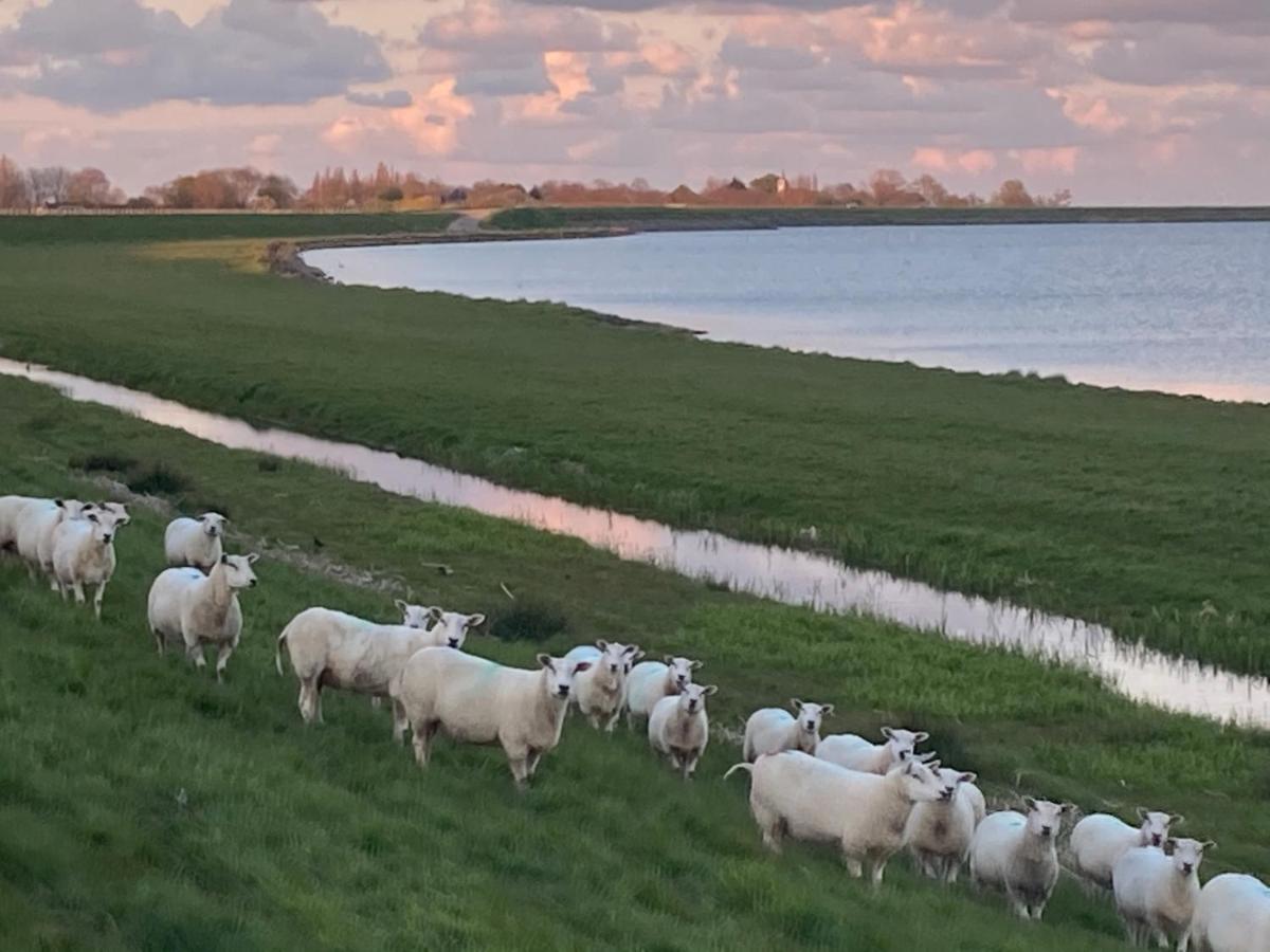 Vakantiehuis Het Uilennest Wijdenes Экстерьер фото