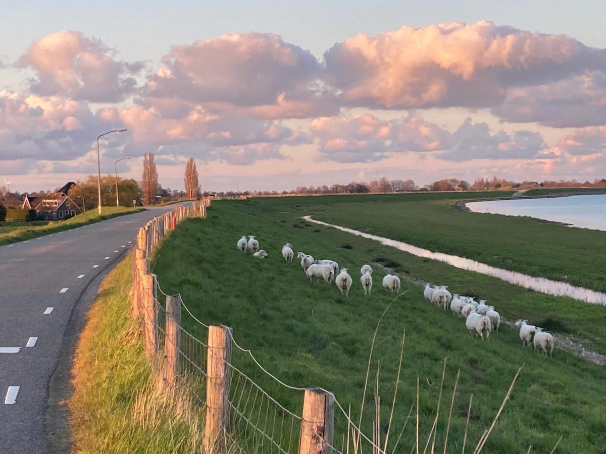 Vakantiehuis Het Uilennest Wijdenes Экстерьер фото