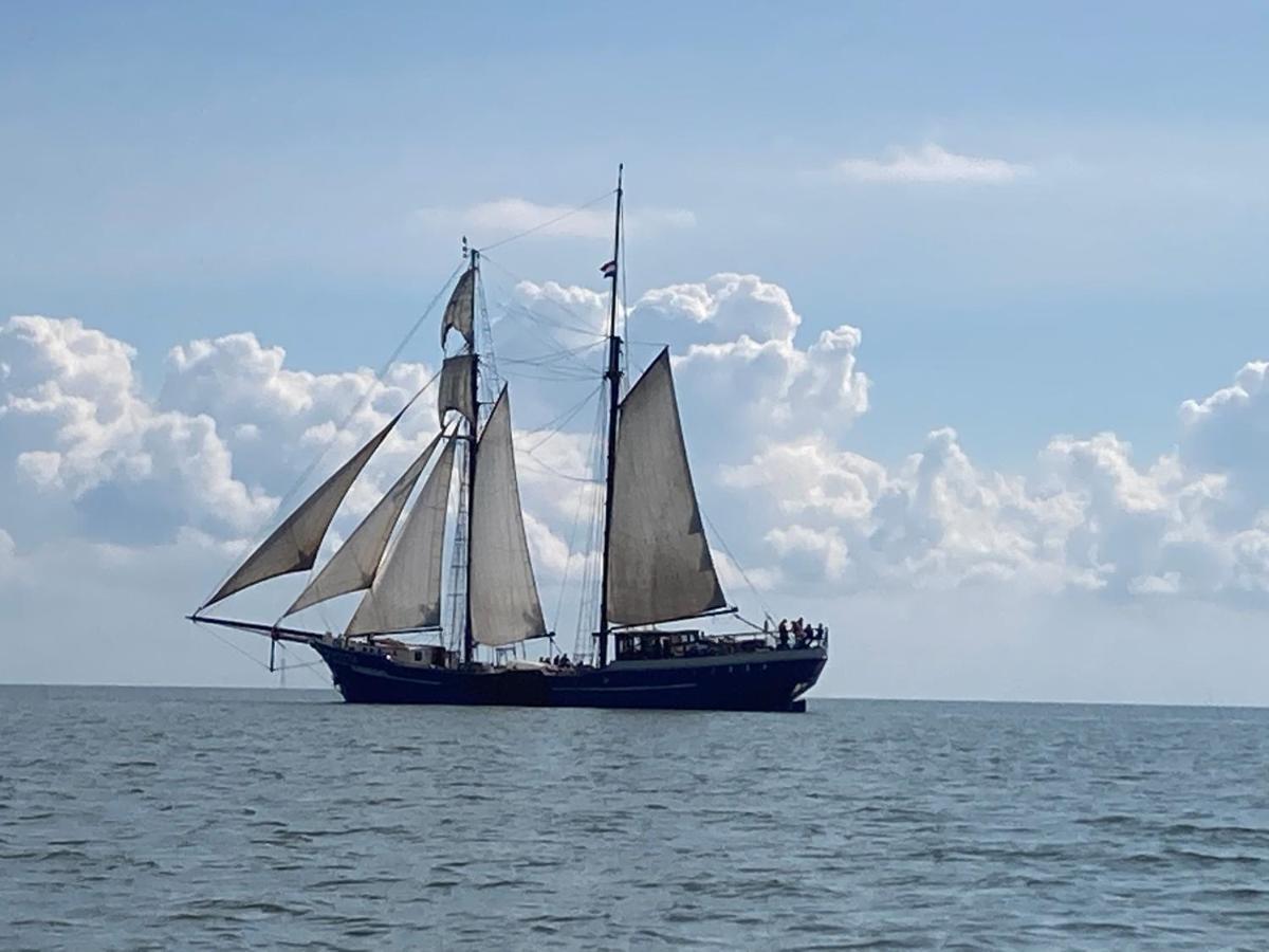 Vakantiehuis Het Uilennest Wijdenes Экстерьер фото