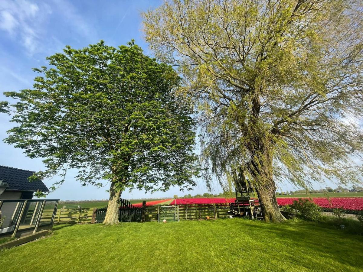 Vakantiehuis Het Uilennest Wijdenes Экстерьер фото