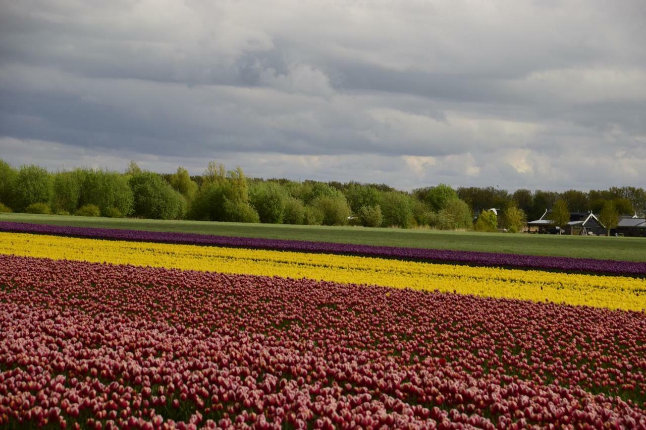 Vakantiehuis Het Uilennest Wijdenes Экстерьер фото
