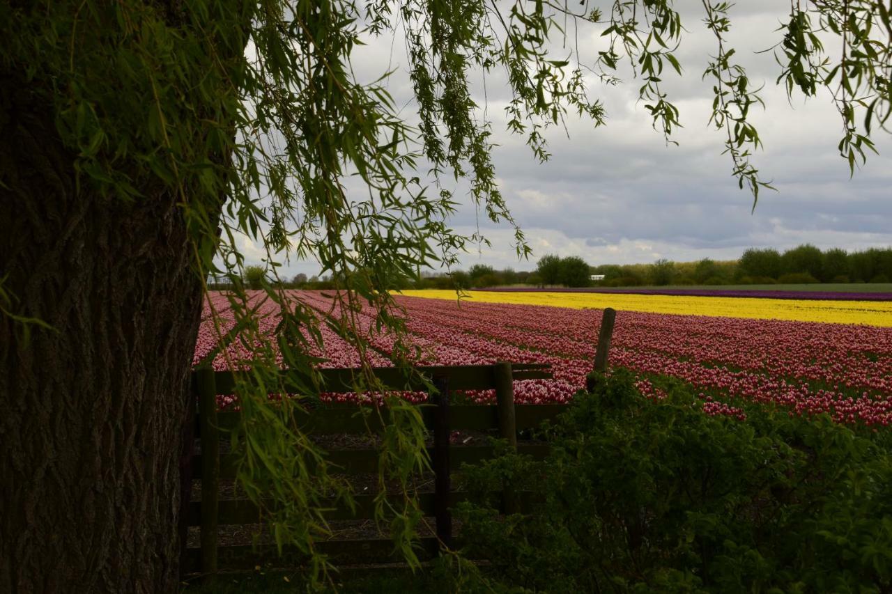 Vakantiehuis Het Uilennest Wijdenes Экстерьер фото