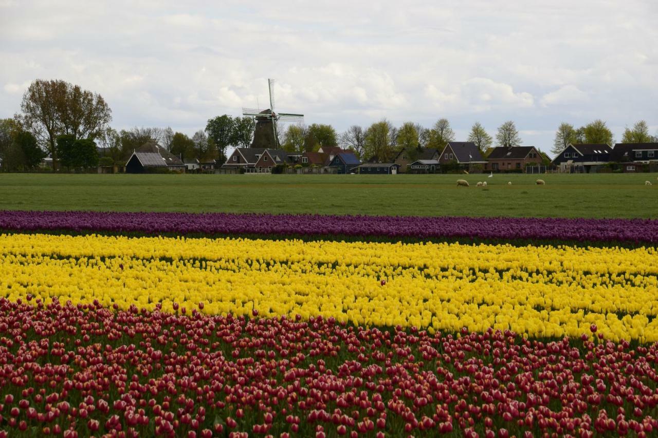 Vakantiehuis Het Uilennest Wijdenes Экстерьер фото