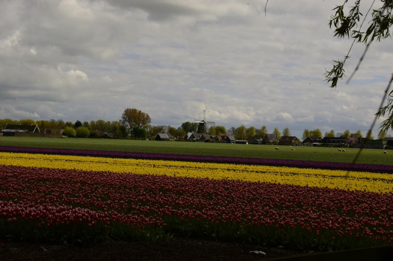 Vakantiehuis Het Uilennest Wijdenes Экстерьер фото